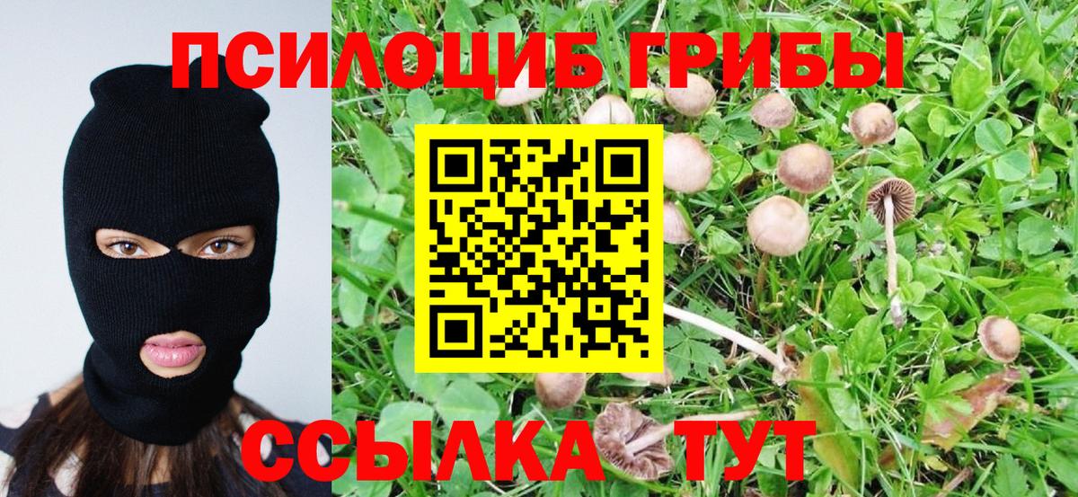 Галлюциногенные грибы Psilocybine cubensis  Вход с VPN  Сокол 