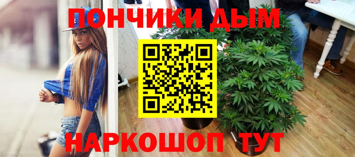 Конопля сатива Сокол